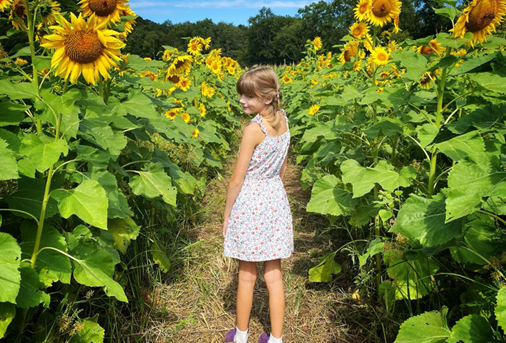 Pick-Your-Own Flowers Litchfield - Sunflower Farms in Connecticut