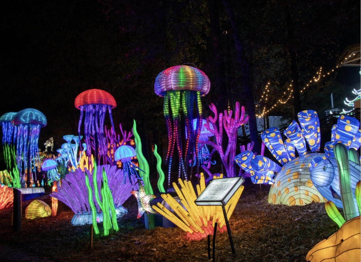 Go wild for all the top things to do with kids in Connecticut this weekend! Glow Wild photo courtesy of the Beardsley Zoo.