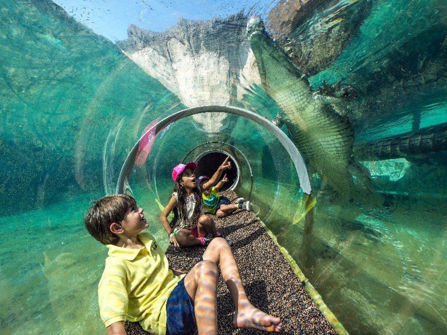 Get up-close with crocodiles at Zoo Miami. Photo by Ron Magill for Zoo Miami